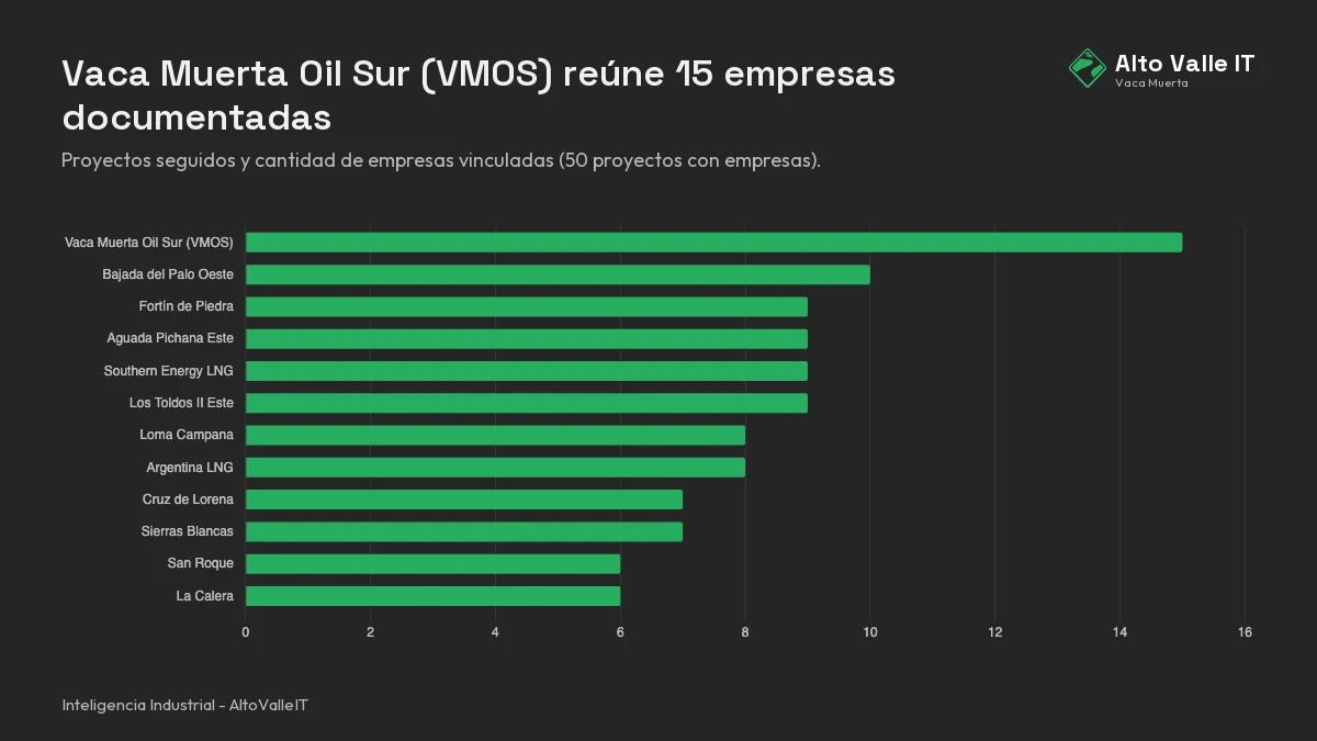 Editorial projects composition: companies linked to tracked Vaca Muerta projects